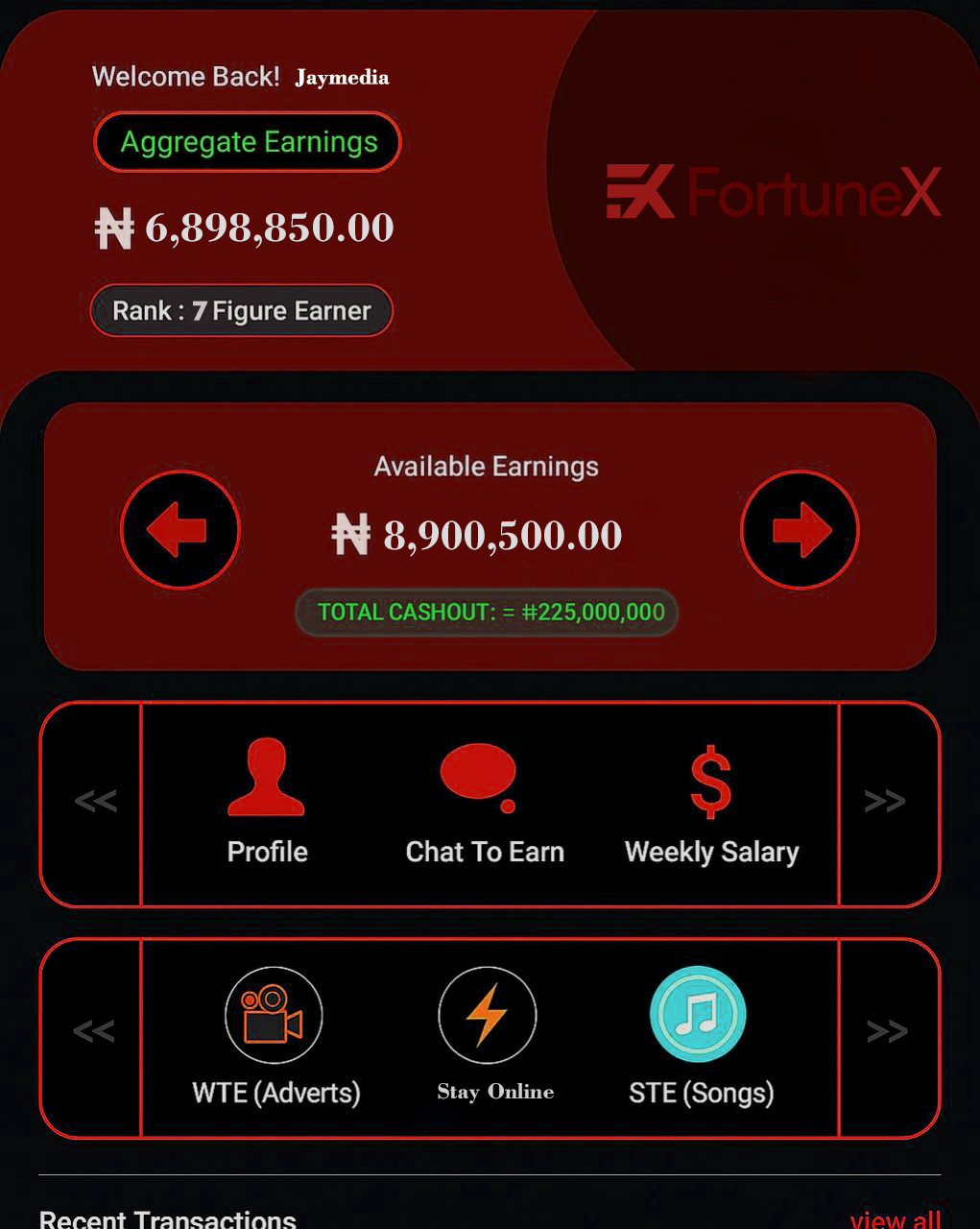 FortuneX Hero